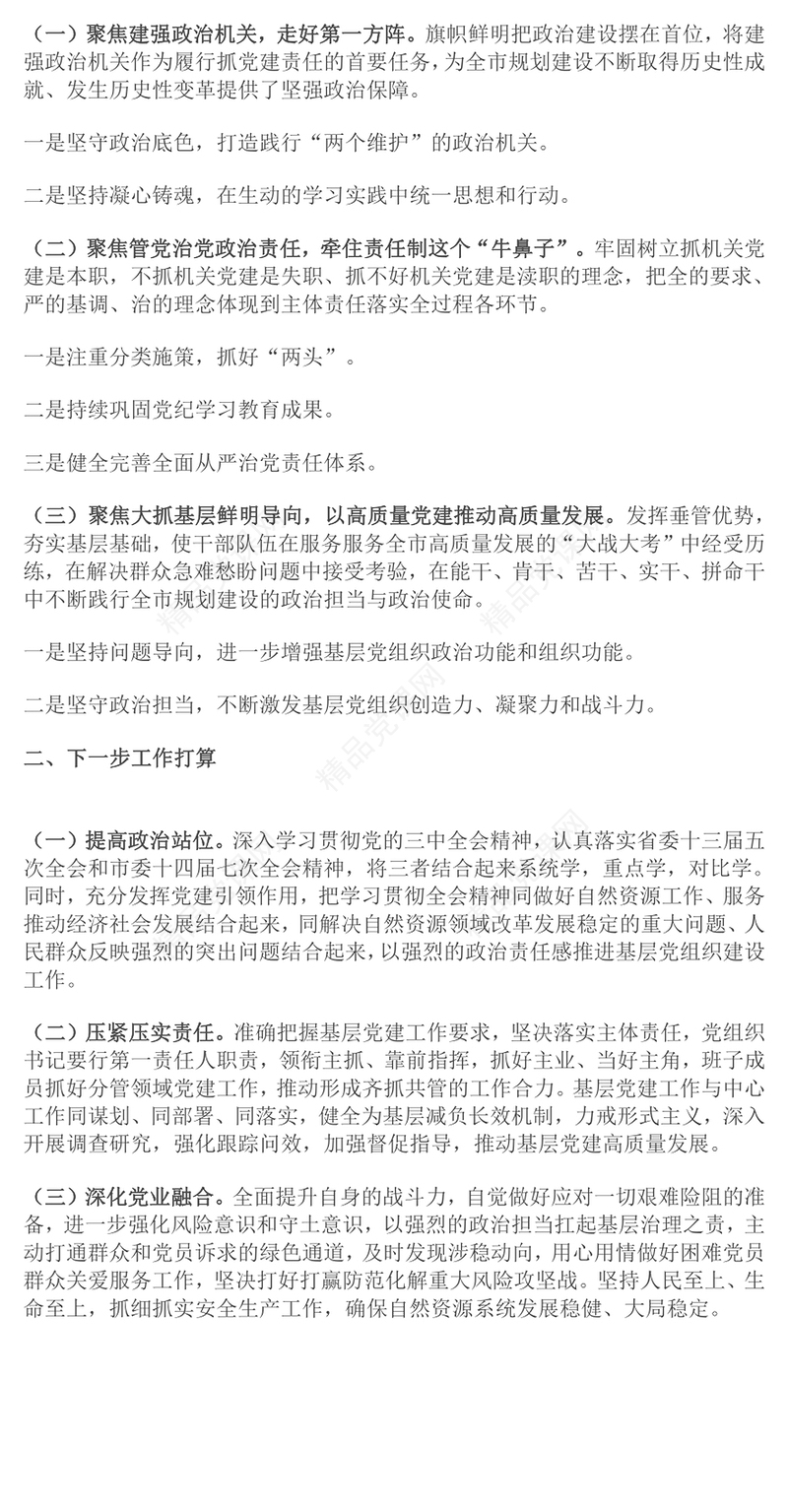 局党组2024年落实全面从严治党主体责任情况报告模板