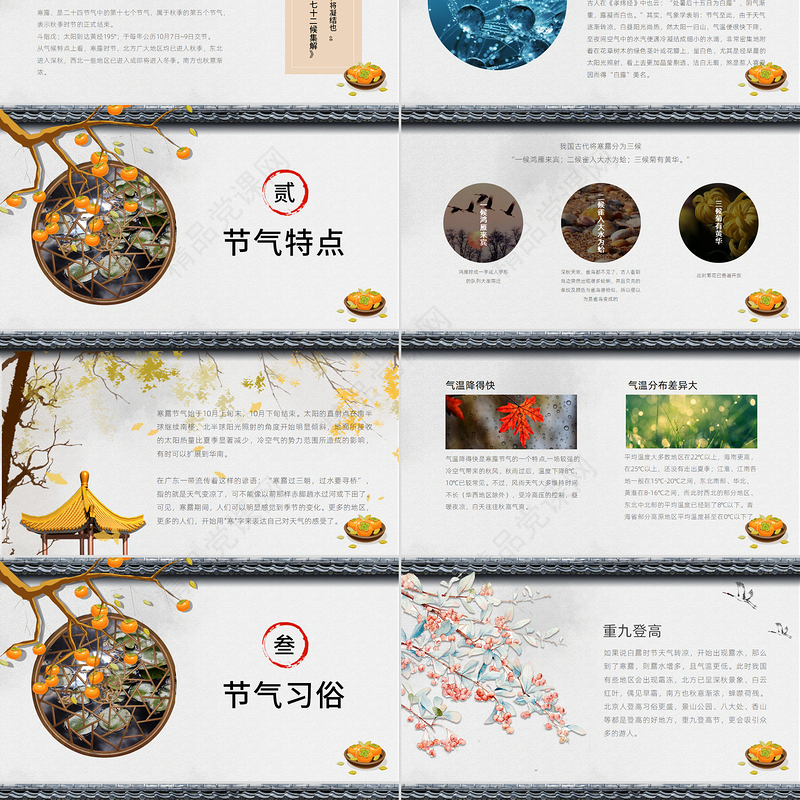 二十四节气之寒露灰白色简约PPT模板