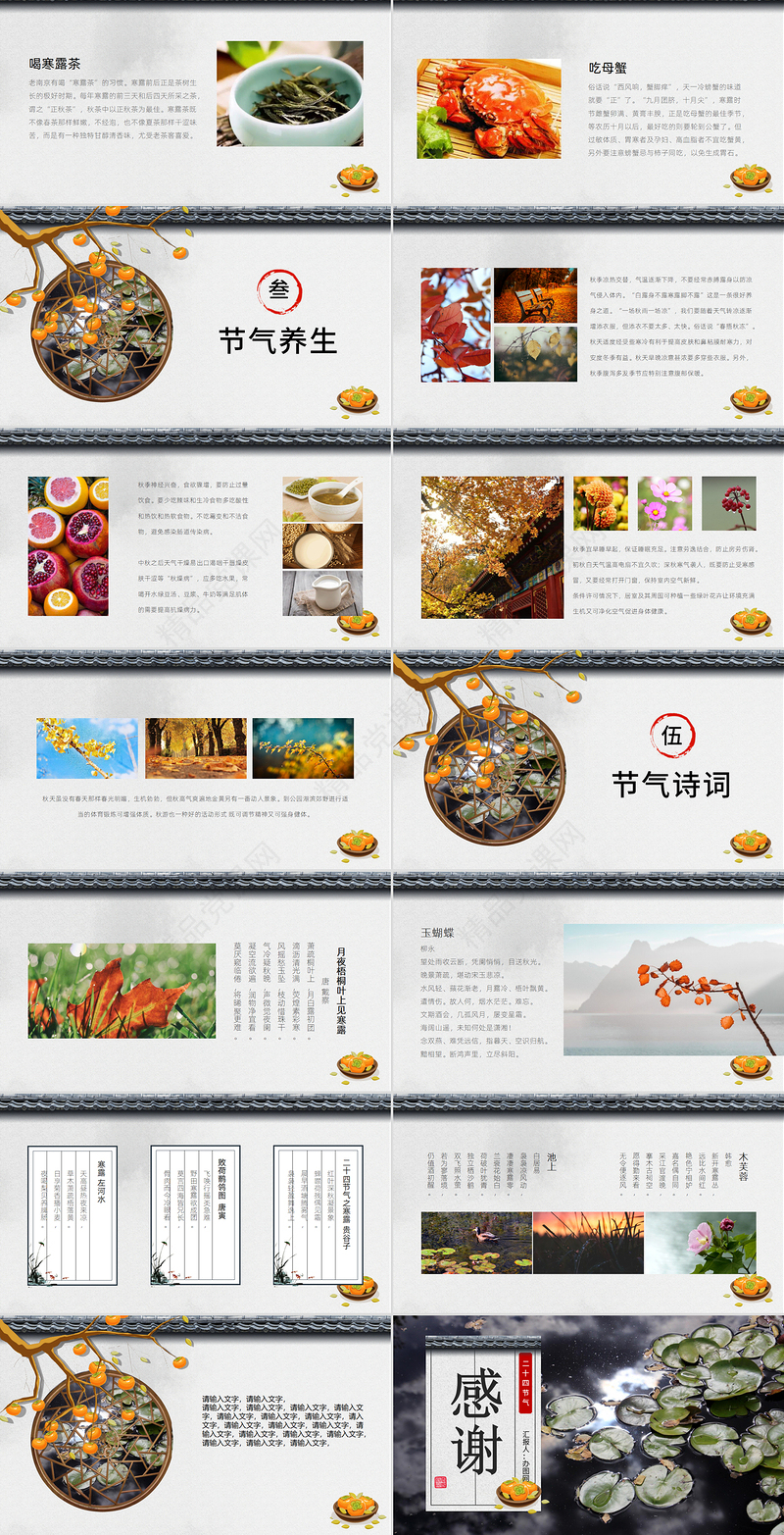 二十四节气之寒露灰白色简约PPT模板