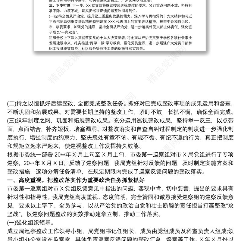 党支部关于反馈问题整改落实、自查自纠工作情况报告