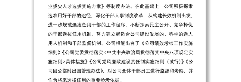 公司干部选拔任用工作情况报告
