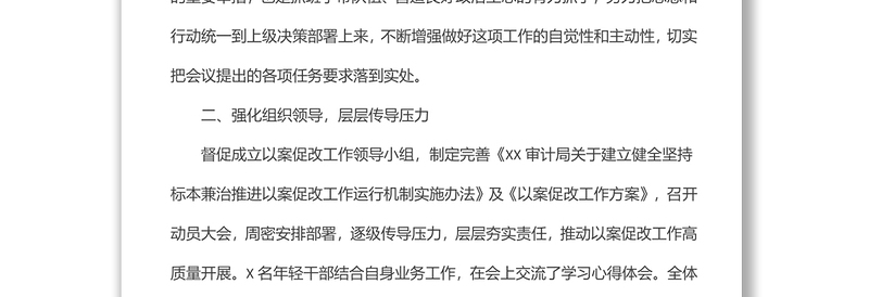 年轻干部以案促改工作总结