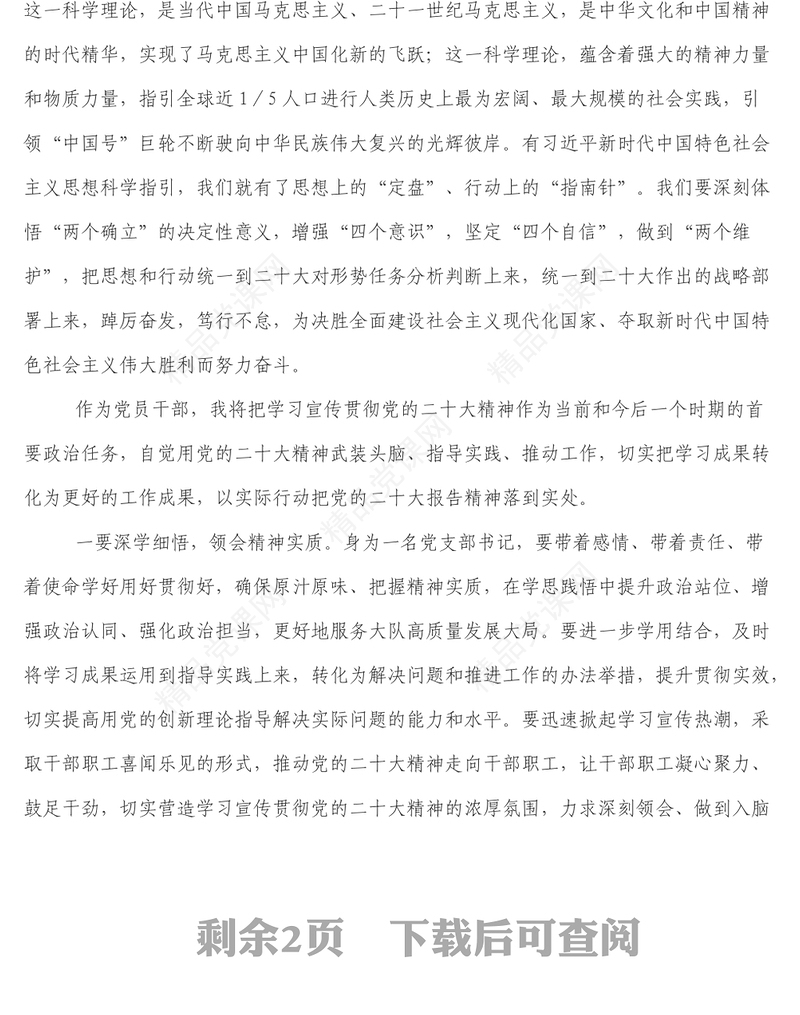 党支部书记学习党的二十大报告精神交流座谈会发言