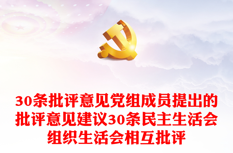 30条批评意见党组成员提出的批评意见建议30条民主生活会组织生活会相互批评