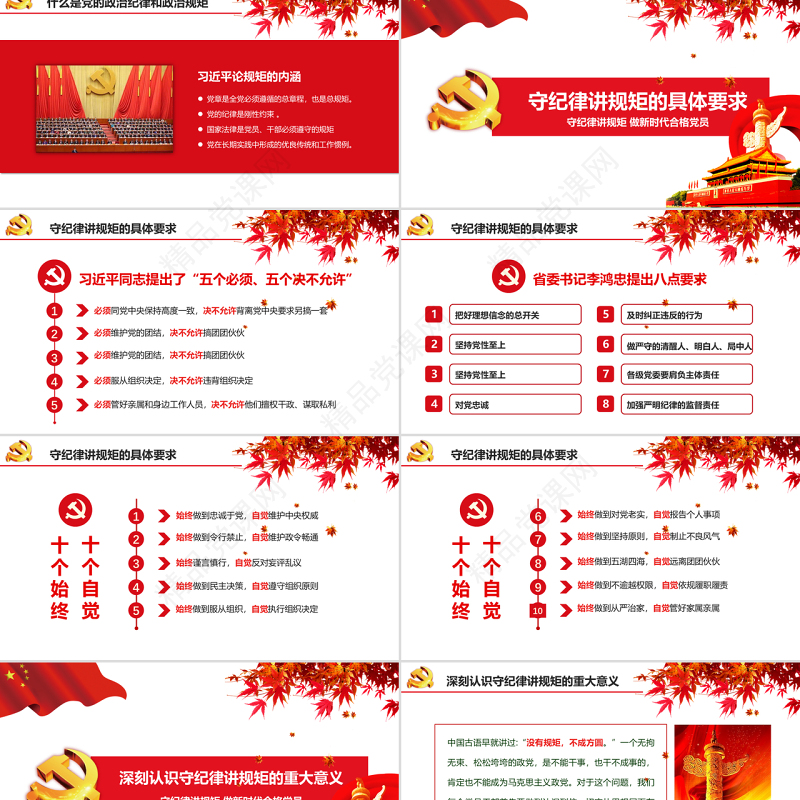 新时代合格党员守规矩讲纪律PPT模板