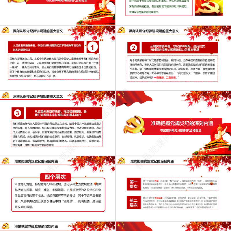 新时代合格党员守规矩讲纪律PPT模板