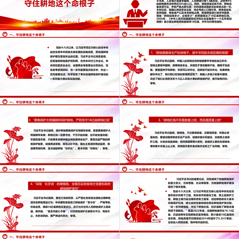 2023“像保护大熊猫一样保护耕地”ppt精美大气耕地是保障国家粮食安全的根本党组织专题教育微党课下载