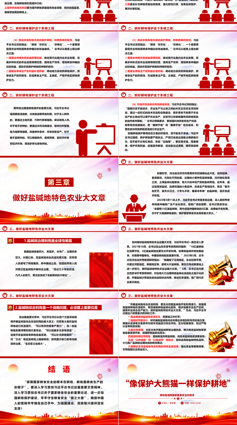 2023“像保护大熊猫一样保护耕地”ppt精美大气耕地是保障国家粮食安全的根本党组织专题教育微党课下载
