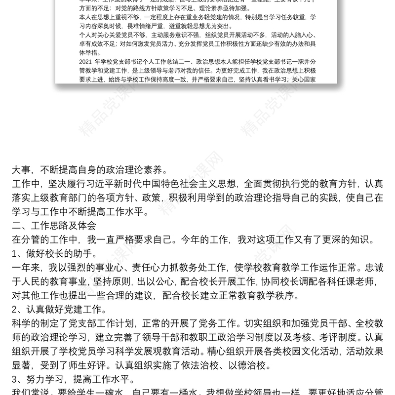  年学校党支部书记个人工作总结