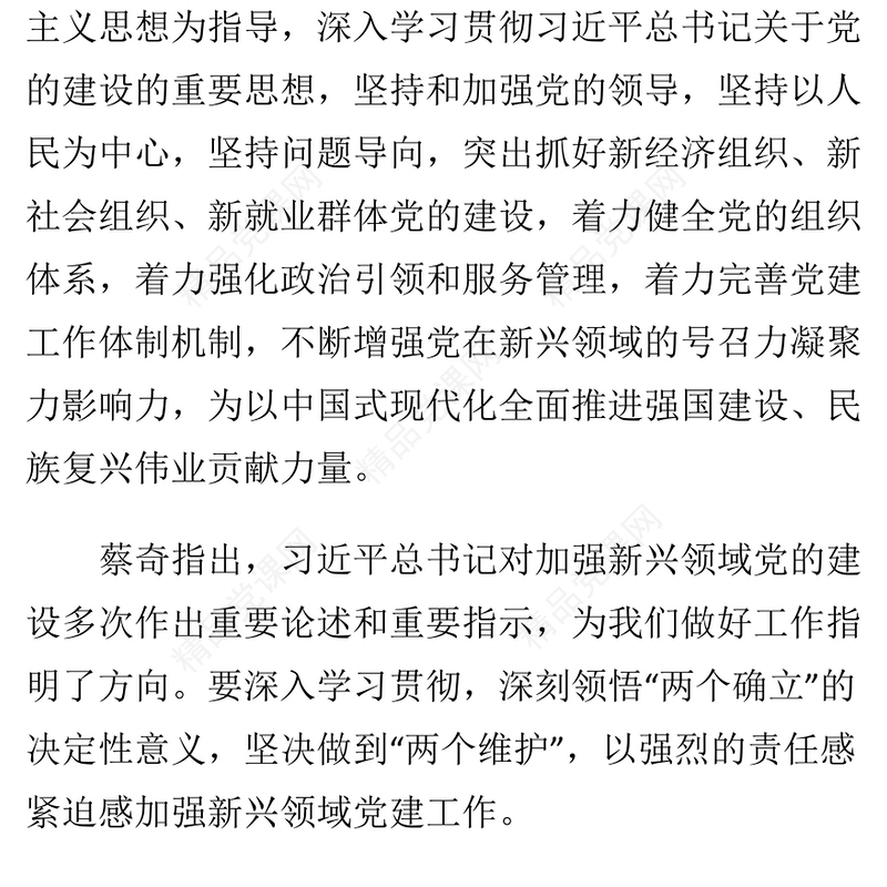 2025年新兴领域党建工作座谈会PPT模板(讲稿)