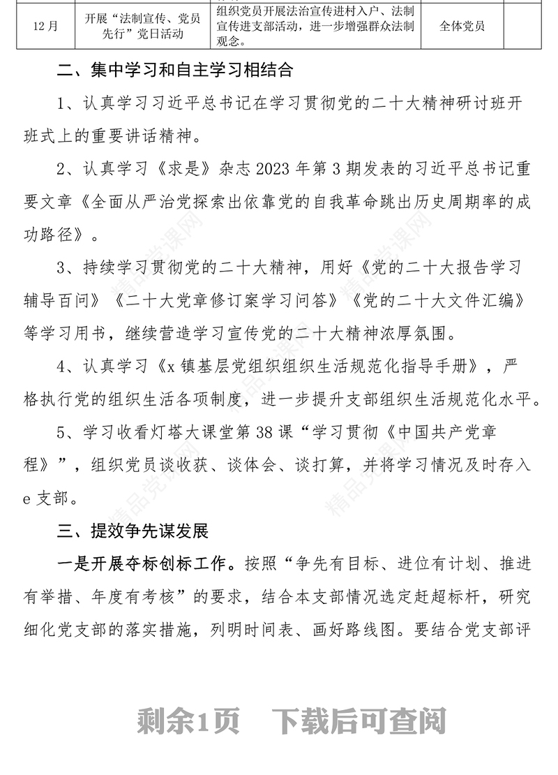 2024年乡镇党支部主题党日活动计划方案表格
