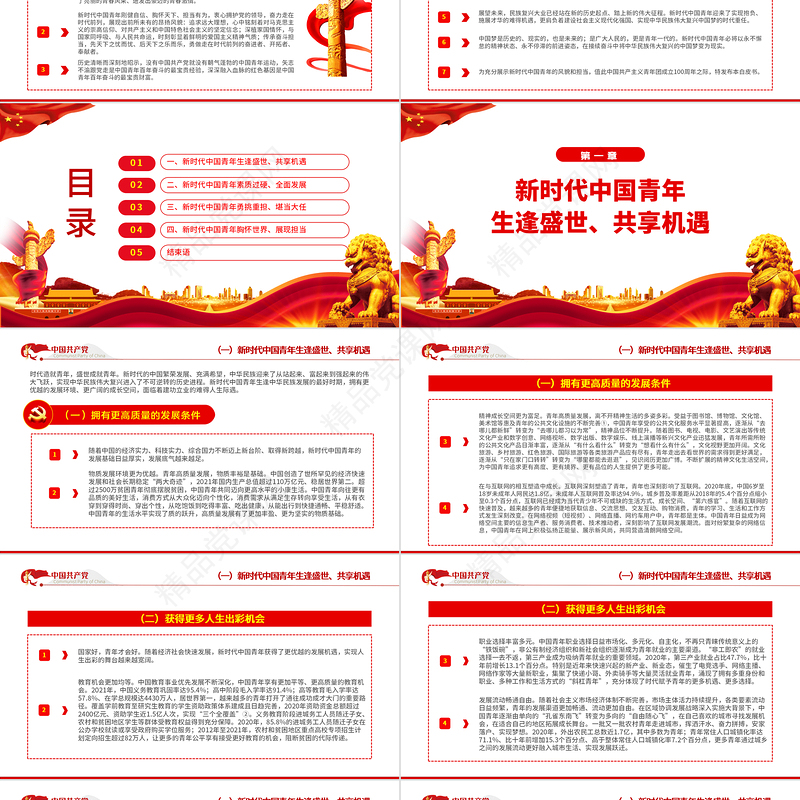 《新时代的中国青年》白皮书PPT党政风解读新时代的中国青年专题课件模板