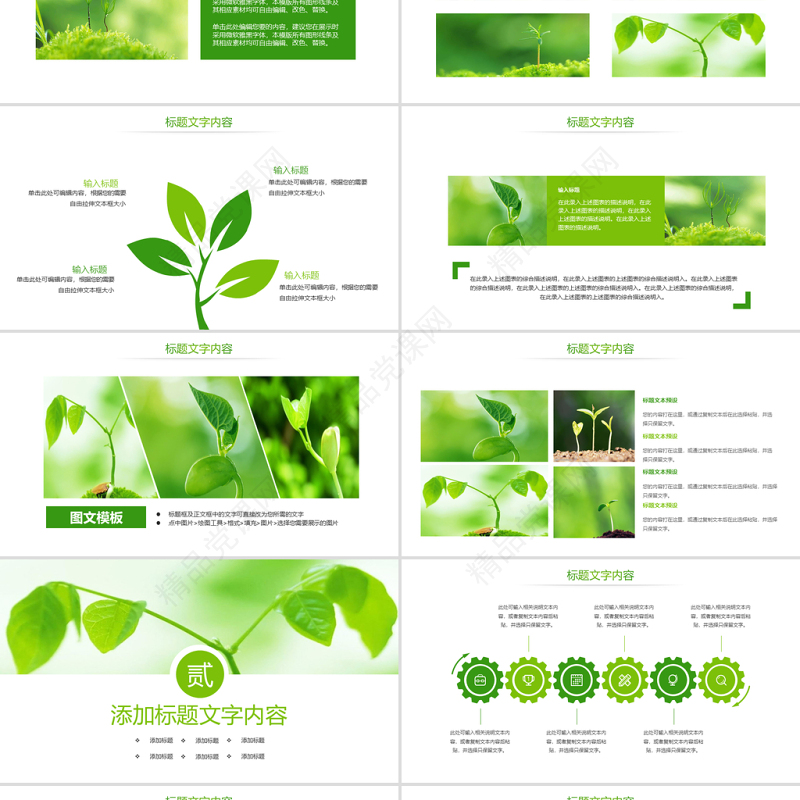 原创唯美绿色植物发芽植物生长敬畏生命PPT模板-版权可商用