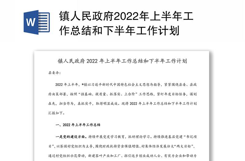 2024镇人民政府上半年工作总结和下半年工作计划