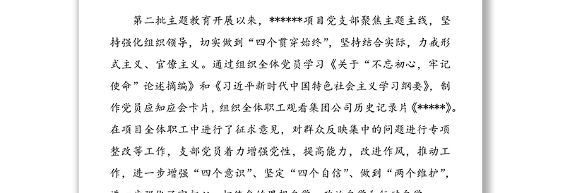 某某公司项目部党支部书记履行基层党建工作责任述职报告