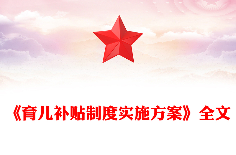 简洁大气《育儿补贴制度实施方案》PPT课件(讲稿)