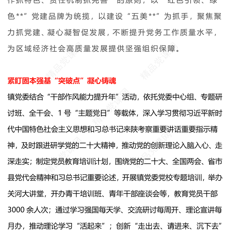 2024年镇党建工作总结汇报