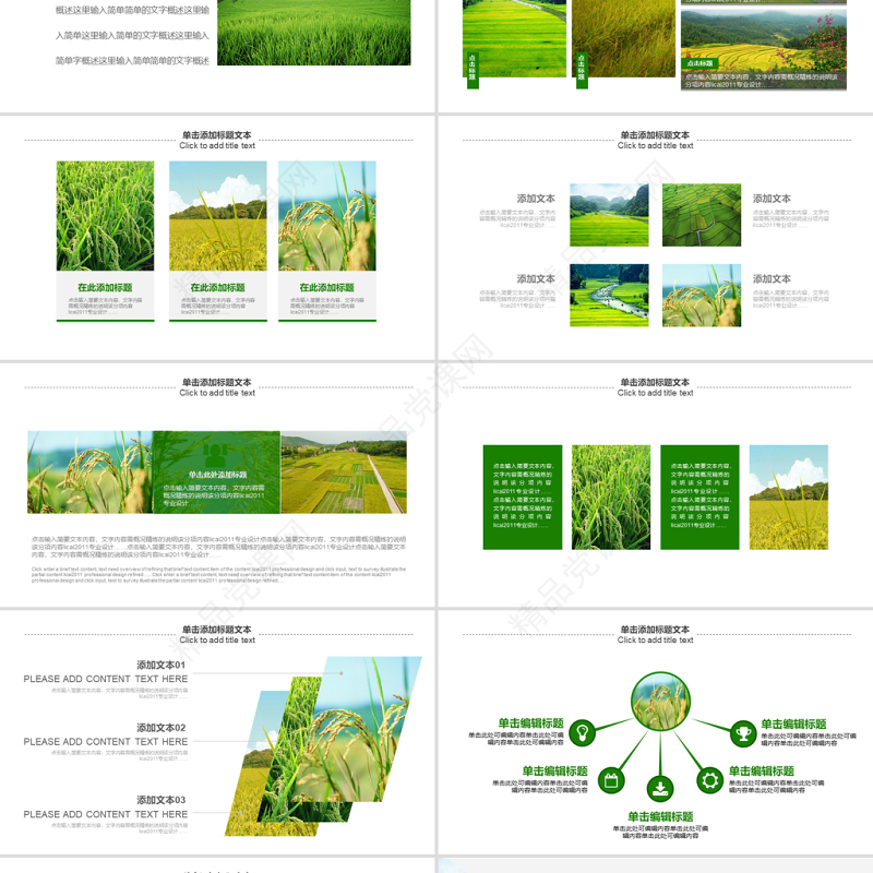 原创绿色农田稻田水稻梯田绿洲农业生产PPT模板-版权可商用