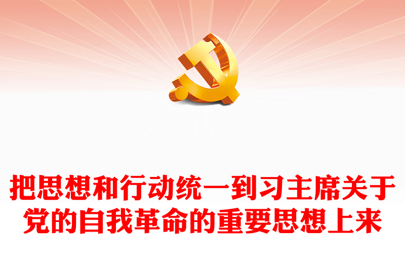 学思践悟习主席关于党的自我革命的重要思想上研讨发言