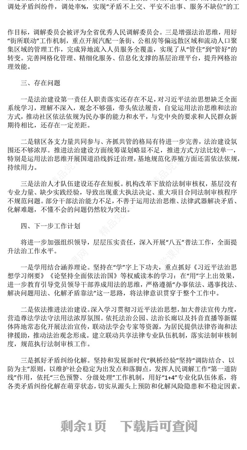 2024年度党政负责人述法报告模板