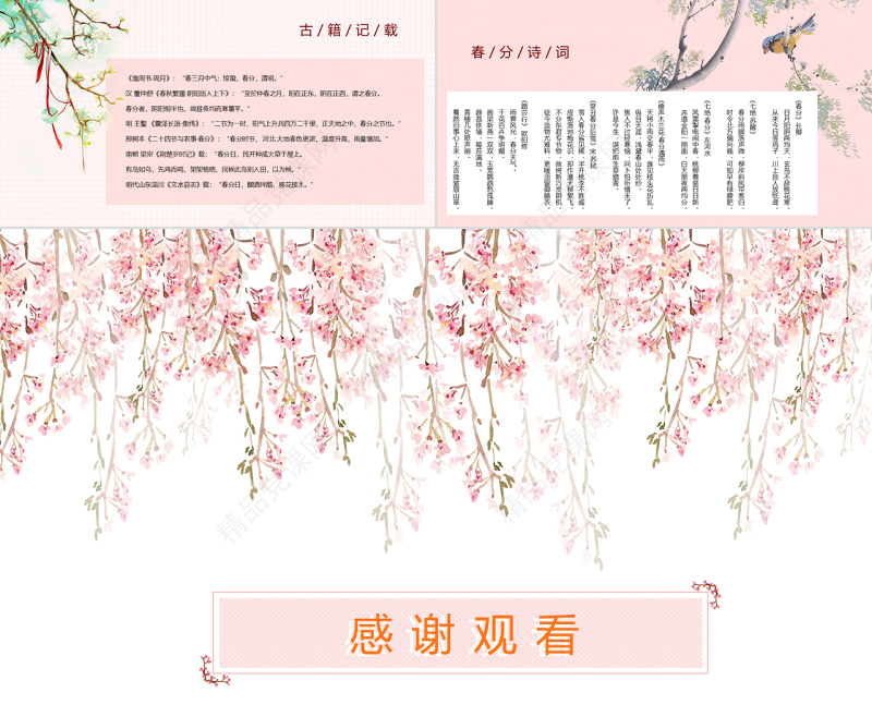 原创二十四节气之春分PPT动态幻灯片主题班会-版权可商用