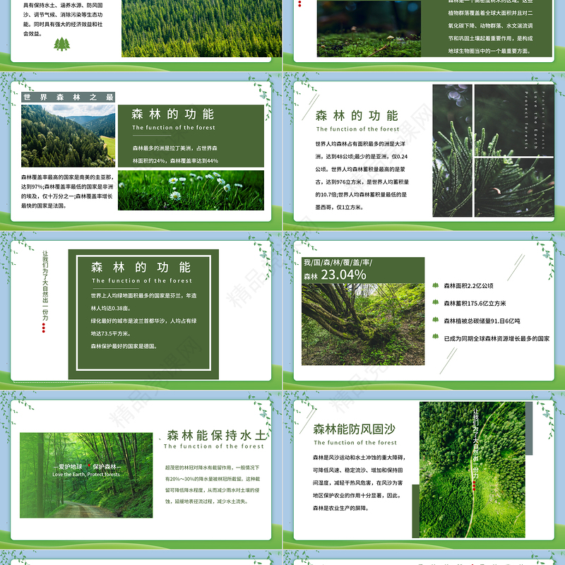 2024保护森林PPT简约风爱护地球保护森林主题班会课件下载