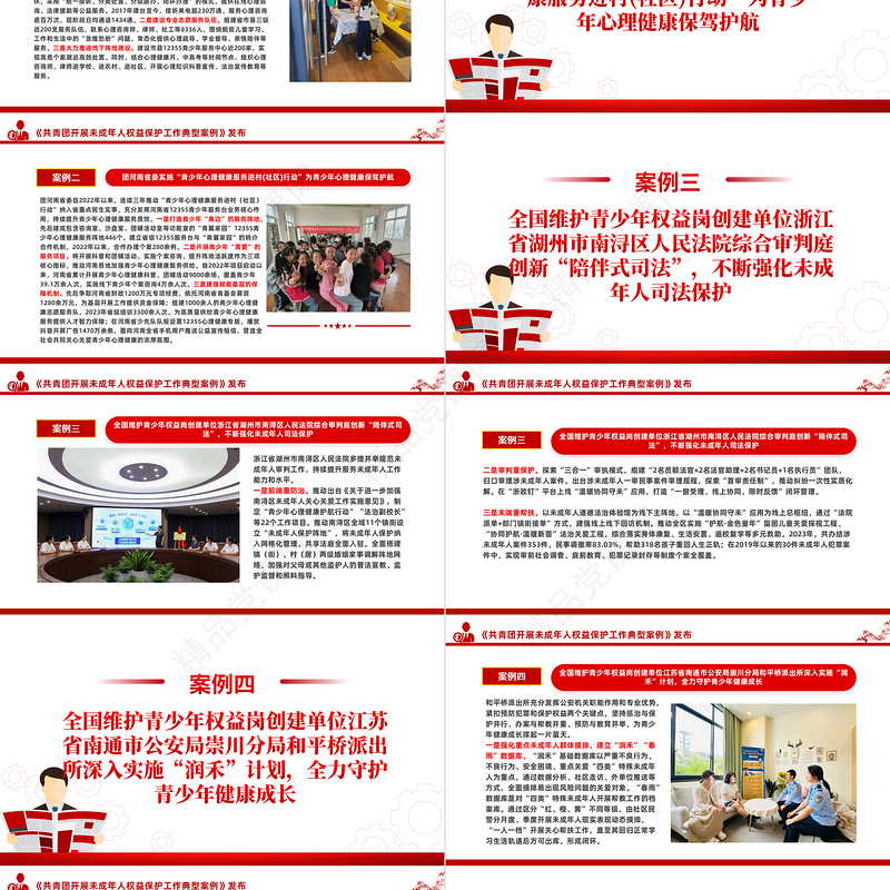 《共青团开展未成年人权益保护工作典型案例》PPT精美创意8个案例分析课件