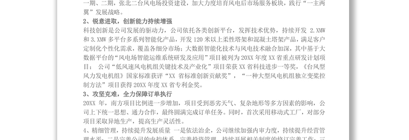 20XX年度董事会工作报告