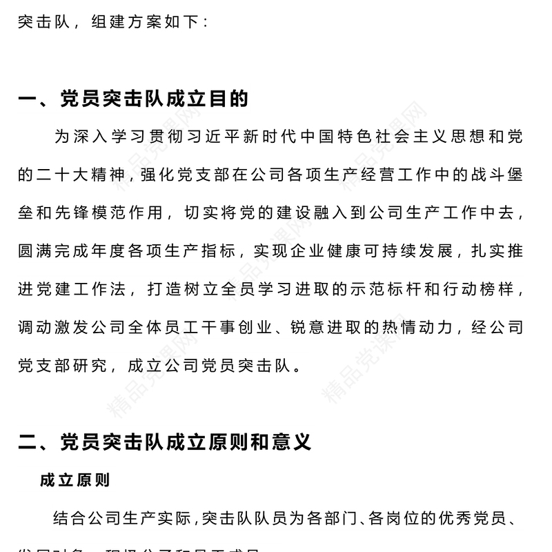 党员突击队创建方案发言材料