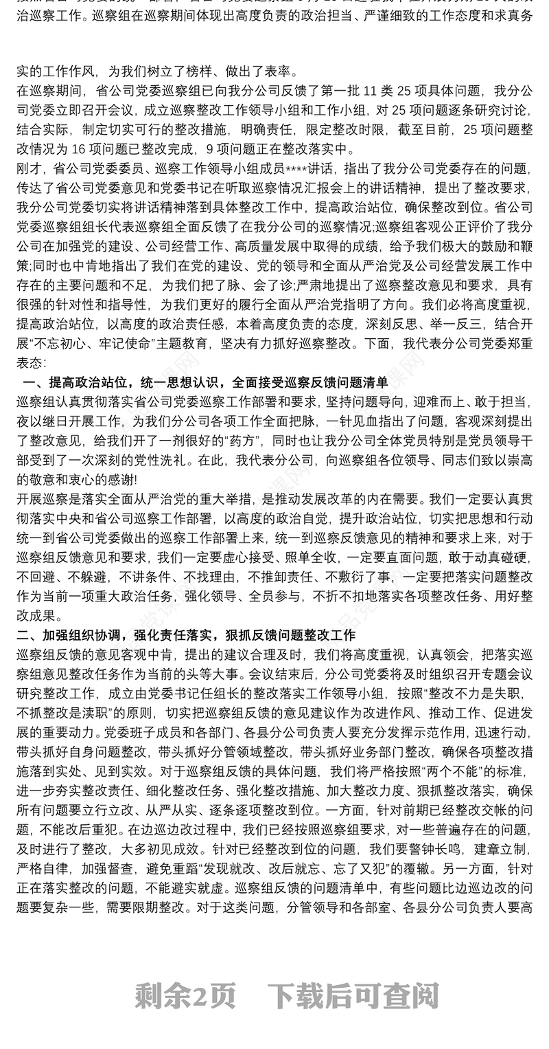 党支部书记巡察反馈表态发言