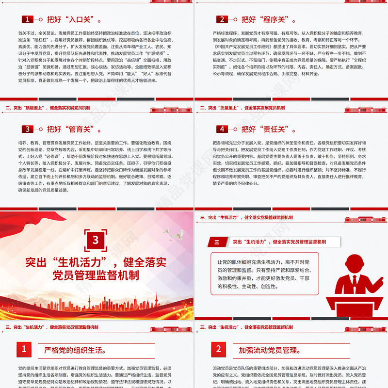 精美大气从严从实抓好党员队伍建设PPT基层党组织党课课件