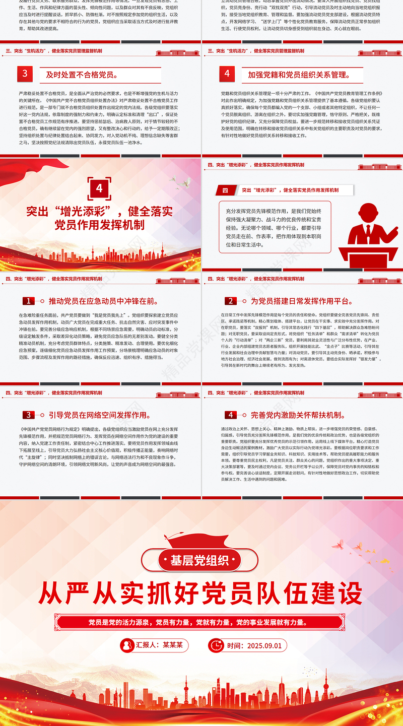 精美大气从严从实抓好党员队伍建设PPT基层党组织党课课件