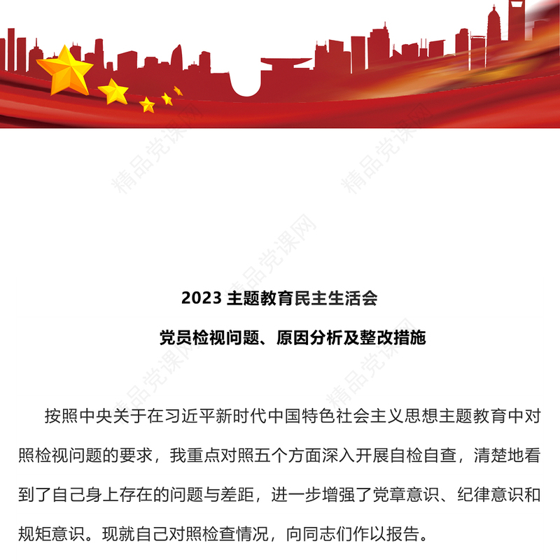 2023主题教育民主生活会PPT党政风简约党员检视问题原因分析及整改措施模板(讲稿)