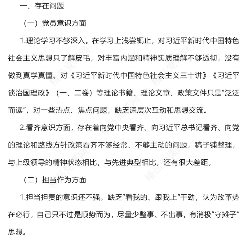 2023主题教育民主生活会PPT党政风简约党员检视问题原因分析及整改措施模板(讲稿)