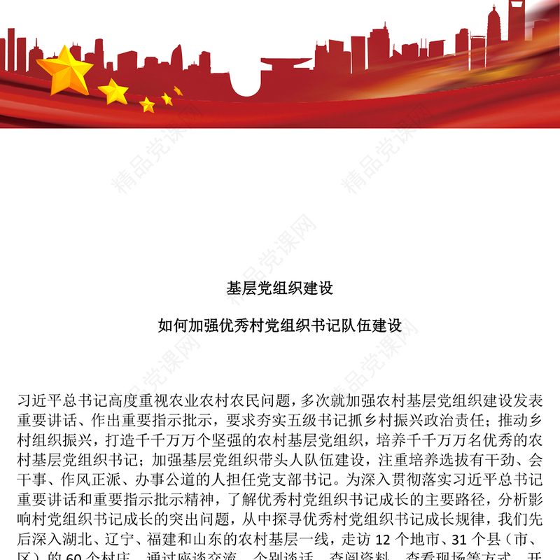 2025如何加强优秀村党组织书记队伍建设PPT基层党建课件下载(讲稿)