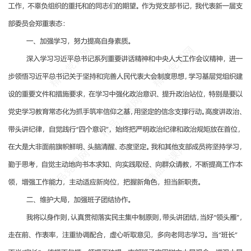 2024新当选机关党支部书记代表新一届支部委员会表态发言讲话