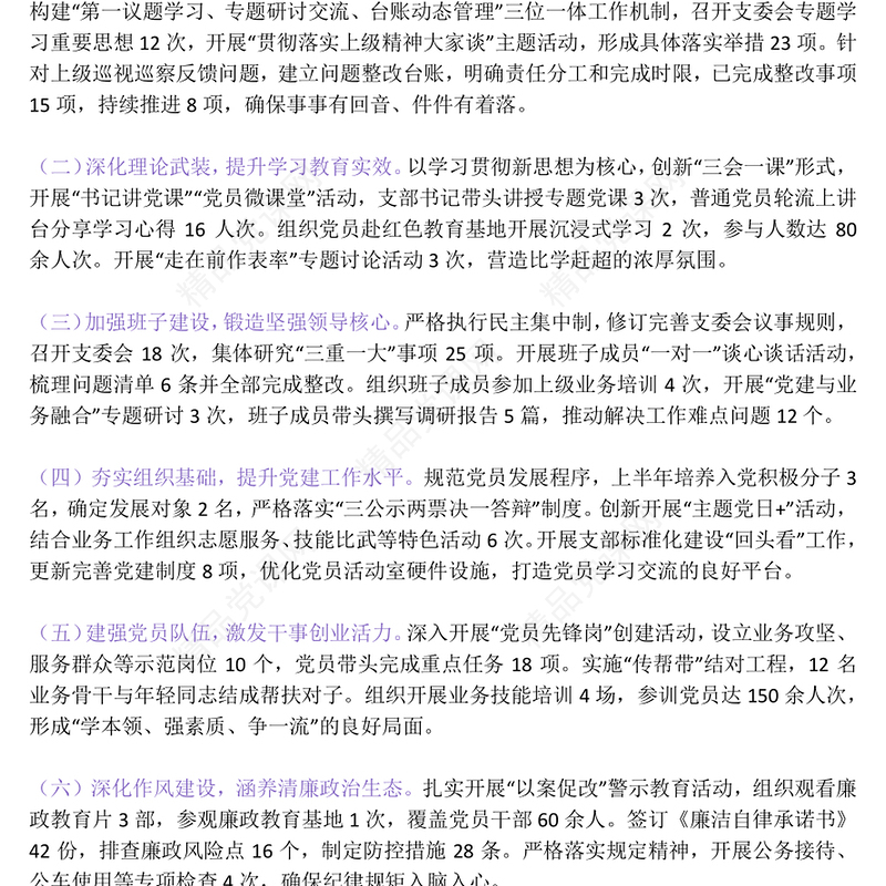 2025年上半年党支部党建工作总结PPT模板(讲稿)