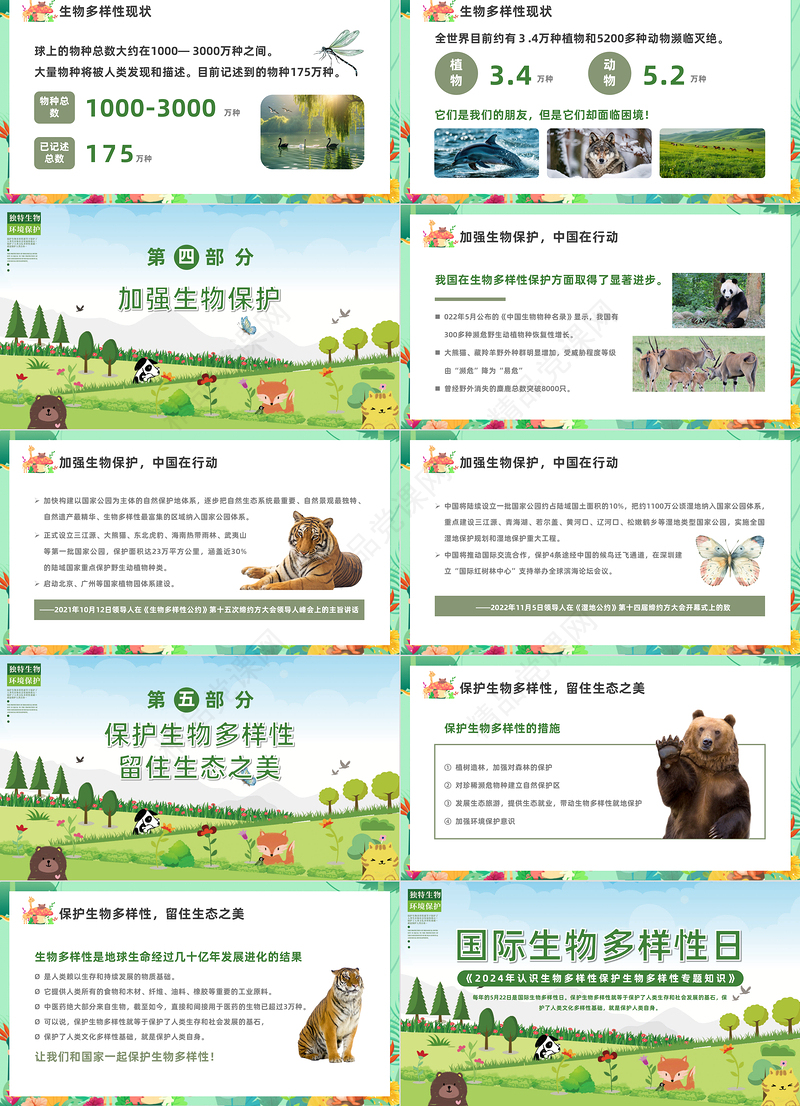 国际生物多样性日PPT简洁风《2023年认识生物多样性保护生物多样性专题知识》课件