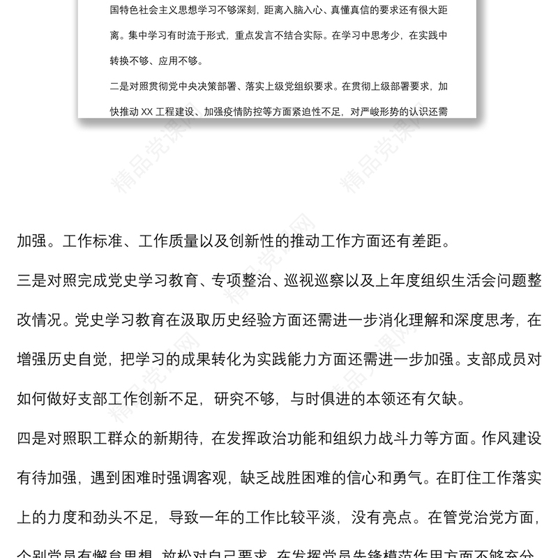 年度组织生活会党支部委员会年度工作报告