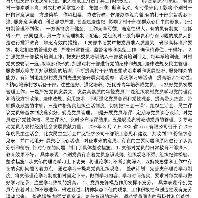 党支部问题清单及整改措施