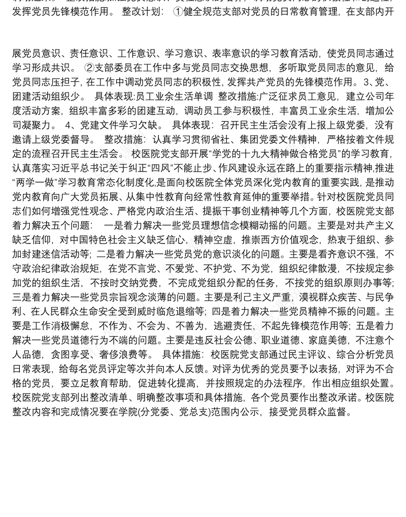党支部问题清单及整改措施