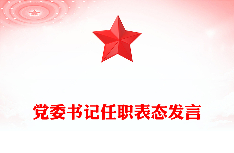 党委书记任职表态发言word模板