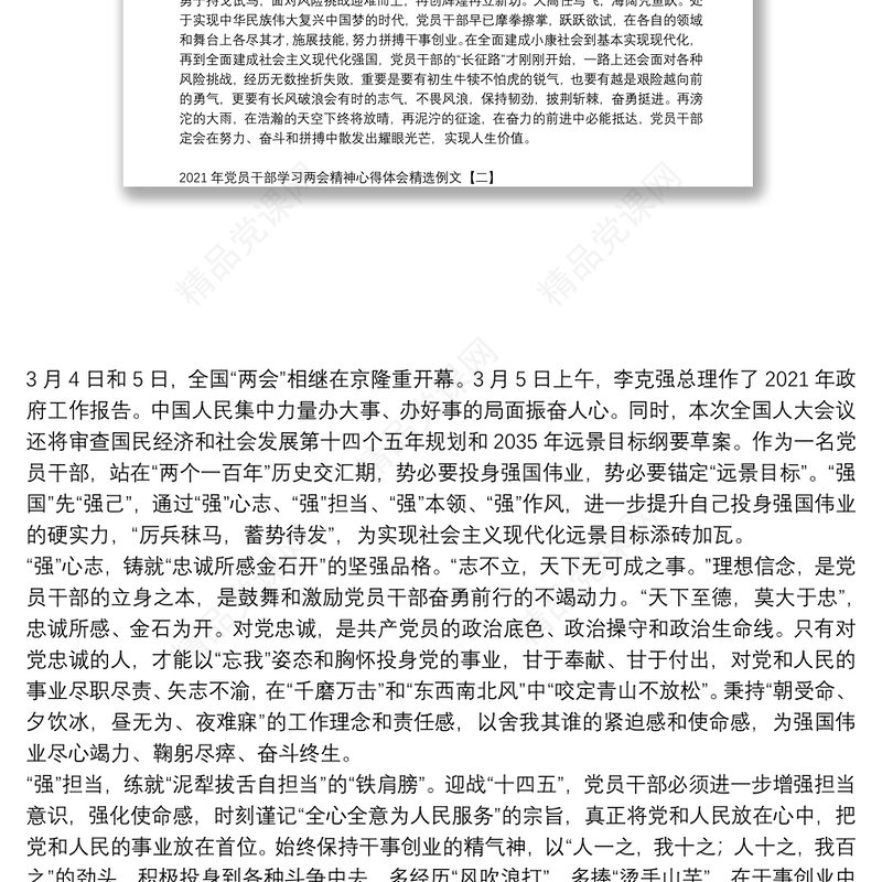 年党员干部学习两会精神心得体会精选例文