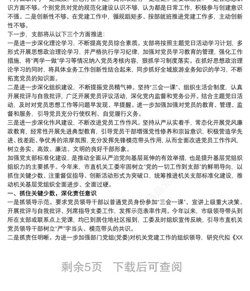 党支部标准化规范化建设工作总结报告4篇