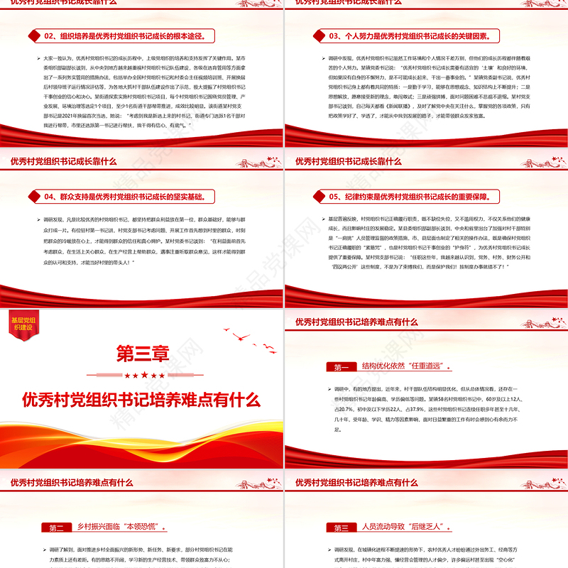 2025如何加强优秀村党组织书记队伍建设PPT基层党建课件下载