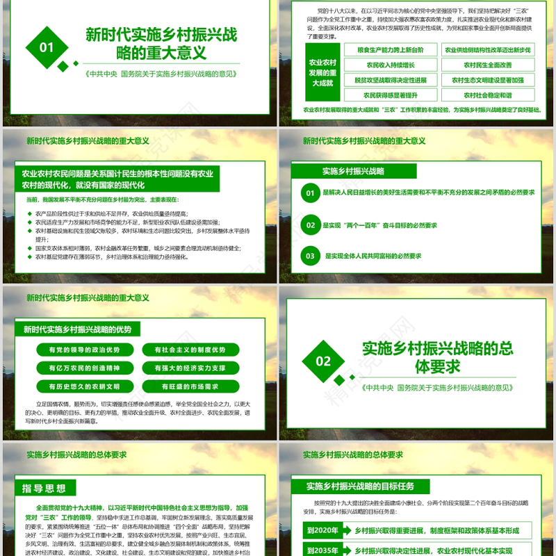 精准2019中央一号文件解读乡村振兴道路党课课件