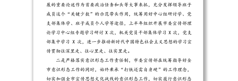 全面从严治党主体责任半年工作汇报