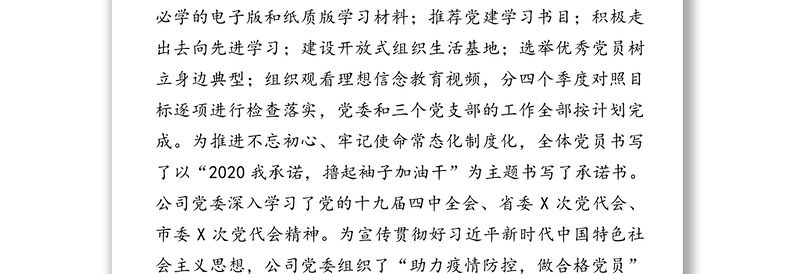 强化党建责任打造红色引擎全力驱动民营企业经济强劲发展的专题汇报党建工作