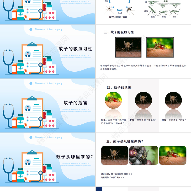 预防登革热防蚊灭蚊主题班会PPT创意清新医疗急救常识通用PPT模板