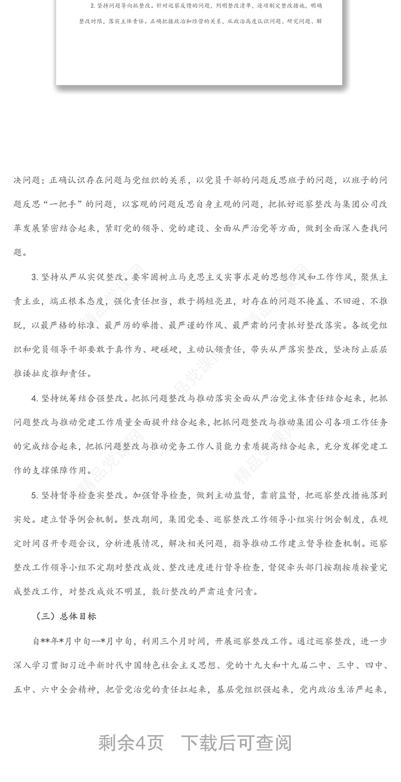 2024某国有企业落实巡察整改工作方案